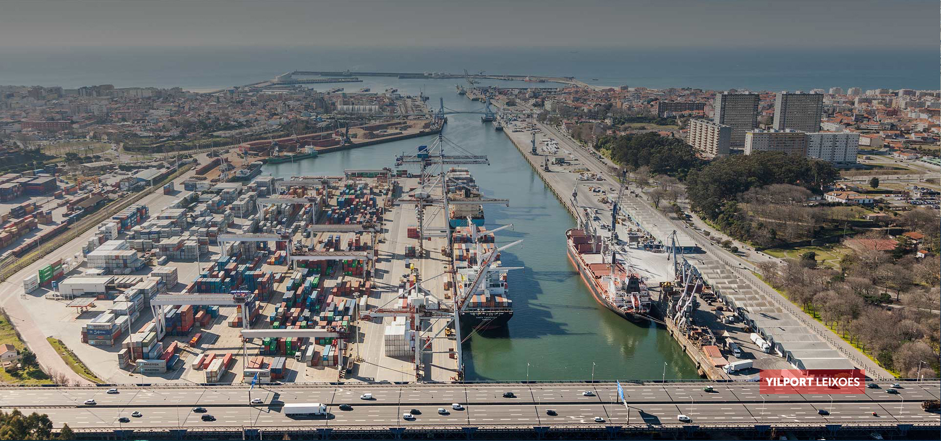 Believes in Your Dream